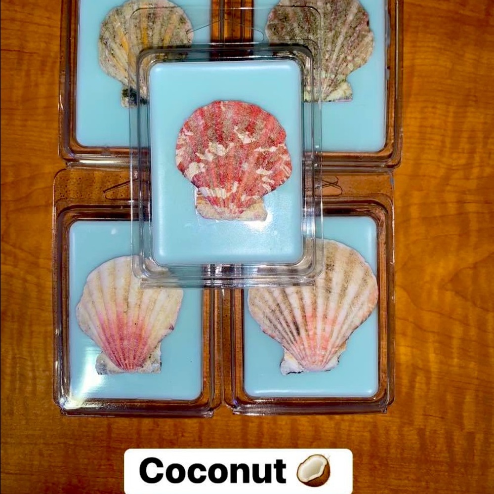 HOMEMADE WAX MELTS